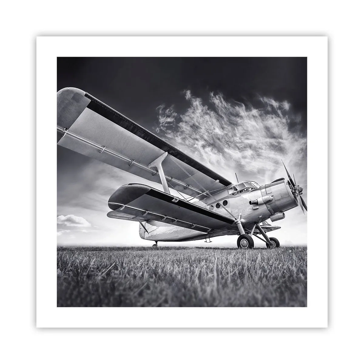 Poszter - A szárnyas vándor - 50x50 cm