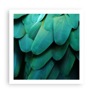 Poszter - A papagájtermészet precizitása - 60x60 cm