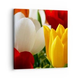 Vászonkép - Tulipán láz - 30x30 cm