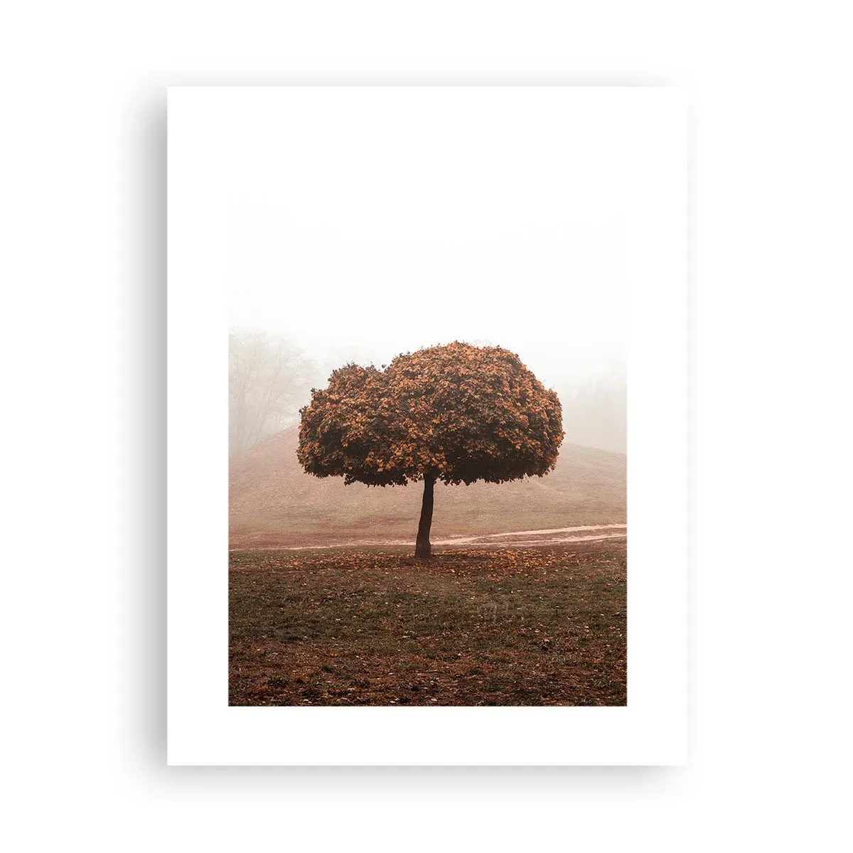 Poszter - Egy mozgalmas nyár után - 30x40 cm