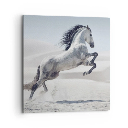 Vászonkép - arab herceg - 70x70 cm