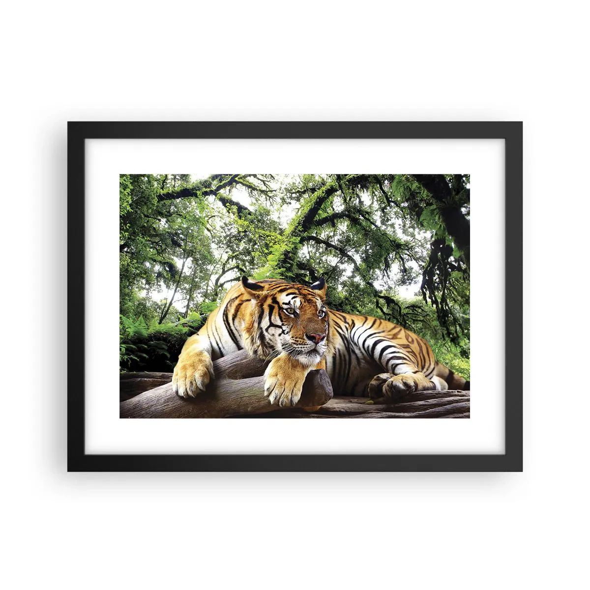 Poszter fehér keretben - Tisztelettel - 40x30 cm