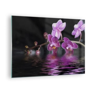 Üveg kép - Lila orchideák tükröződnek a vízben - 70x50cm - Lila a szépség tükörképe - Modern fali dekoráció nappalihoz és hálószobához ARTTOR