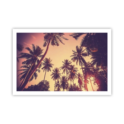 Poszter - Trópusi variáció - 91x61 cm