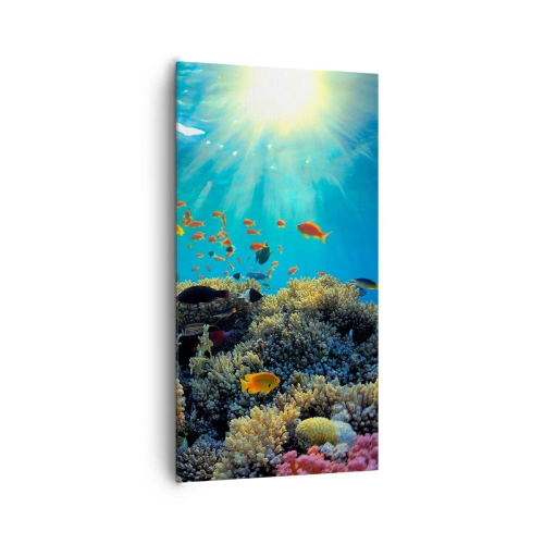 Vászonkép - Víz alatti kincsek - 65x120 cm