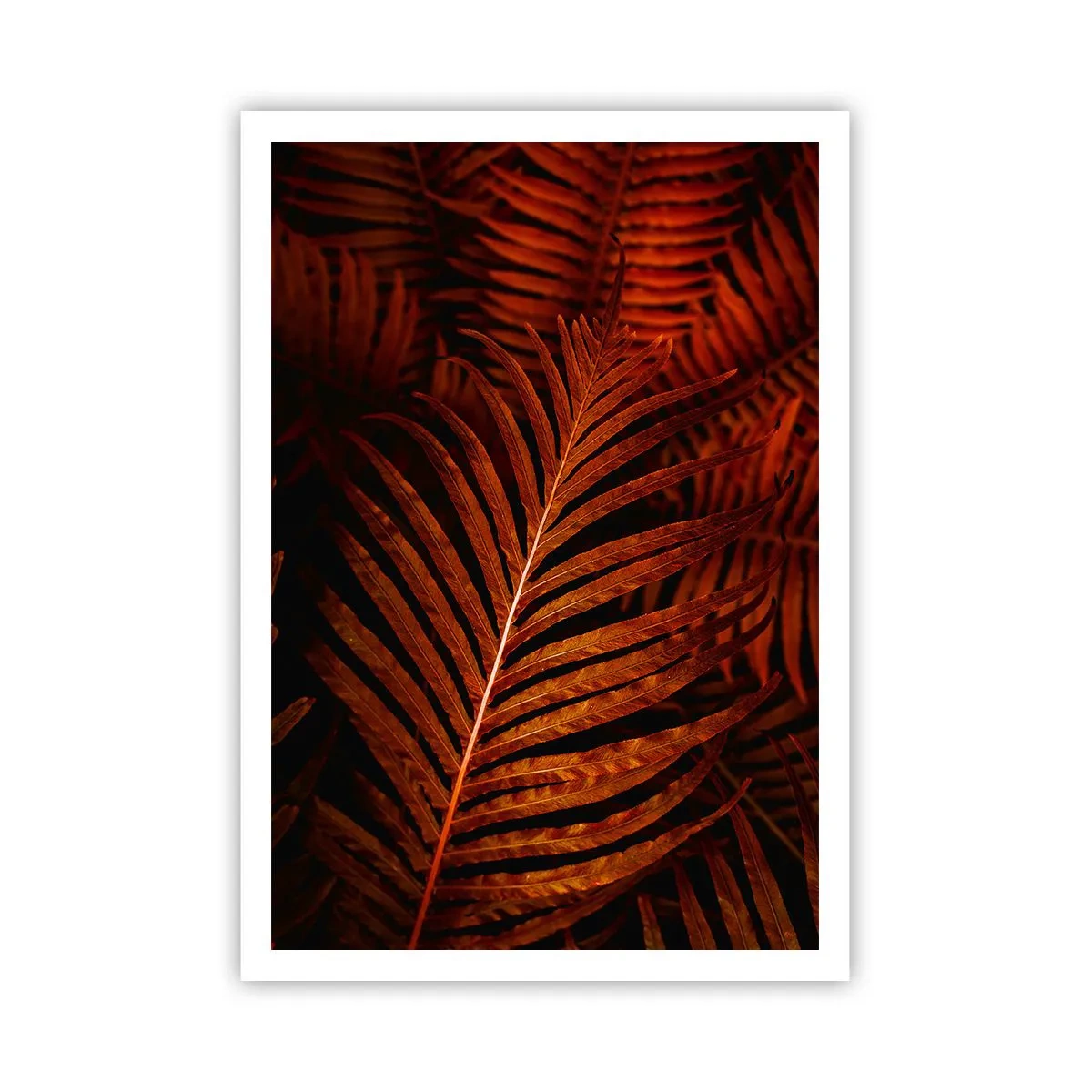 Poszter - Az élet vörös színe - 70x100 cm