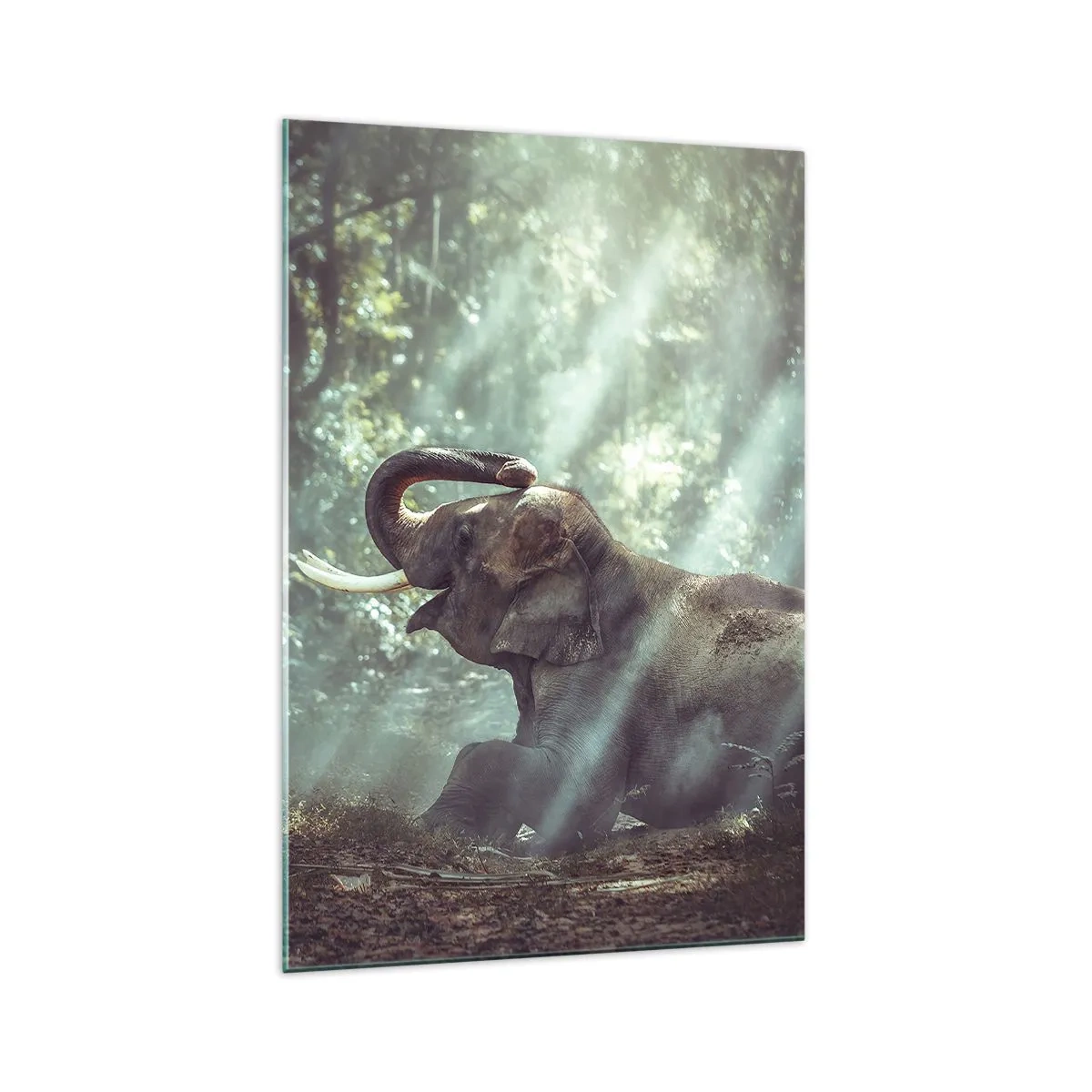 Üveg kép - Ezt hallgasd meg… - 70x100 cm