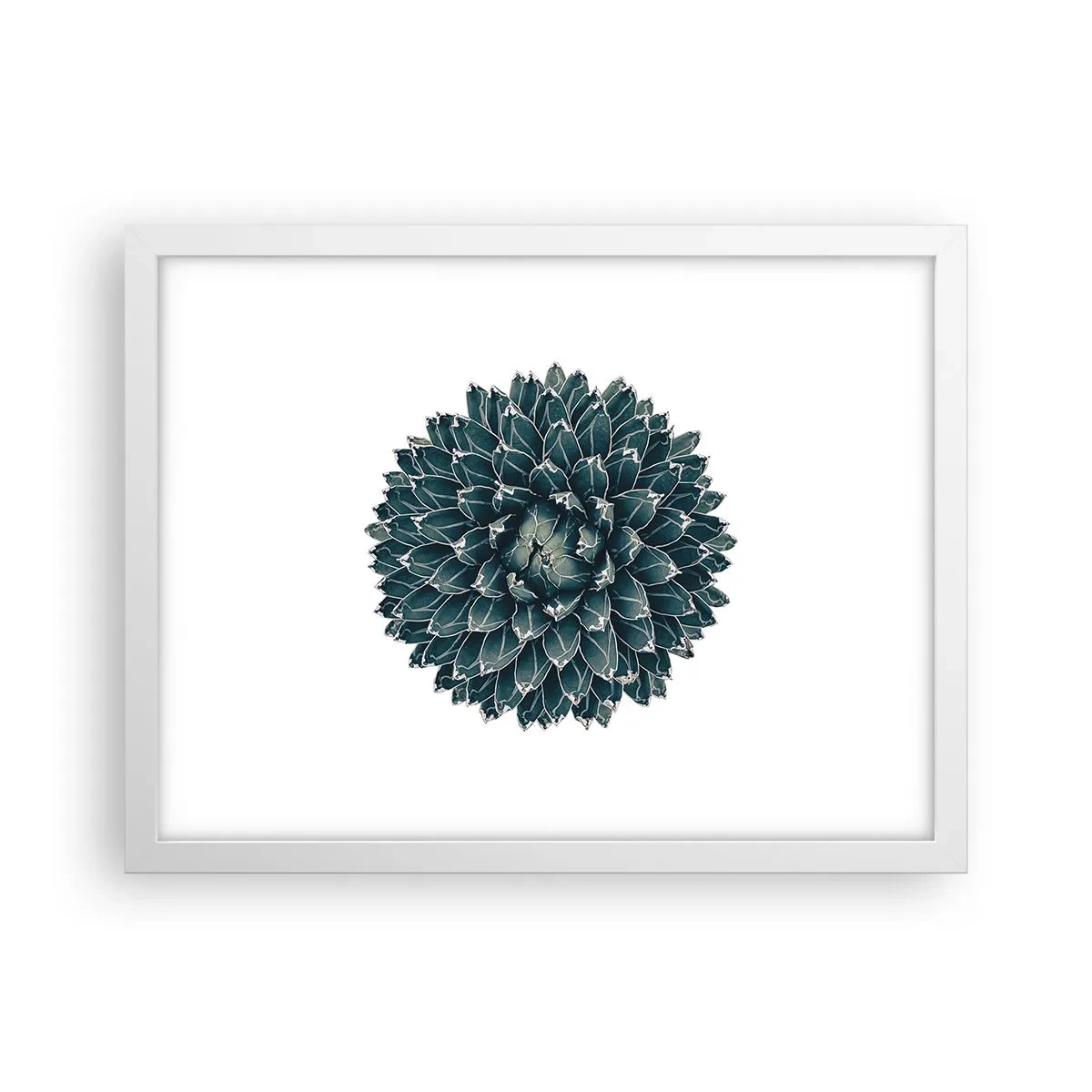 Poszter fekete keretben - A sivatag csillaga - 40x30 cm