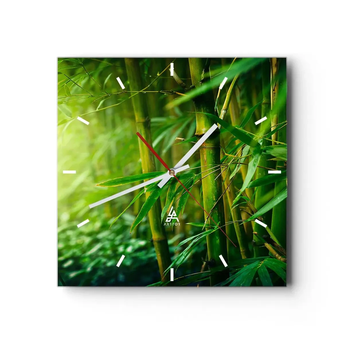 Falióra, Óra - Megismerni magát a zöldet - 30x30 cm