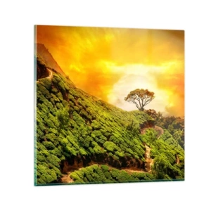 Üveg kép - Kanyargós ösvény, zöld lejtő - 70x70 cm