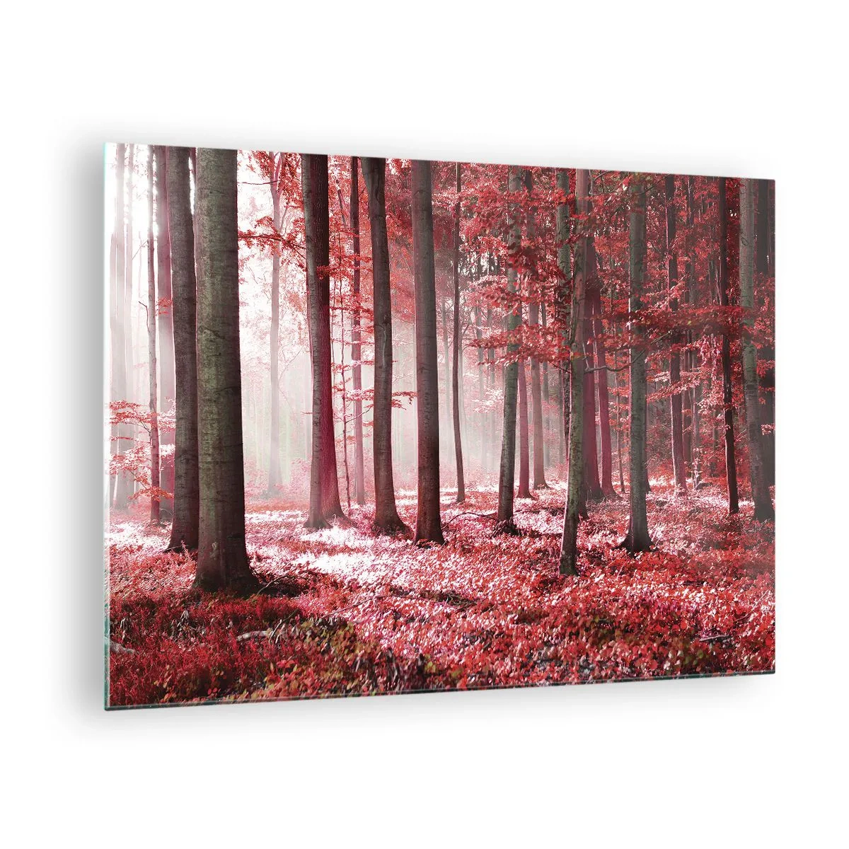 Üveg kép - Őszi erdő vörös színekben és reggeli ködben - 70x50cm - A piros különösen szép - Modern fali dekoráció nappalihoz és hálószobához ARTTOR