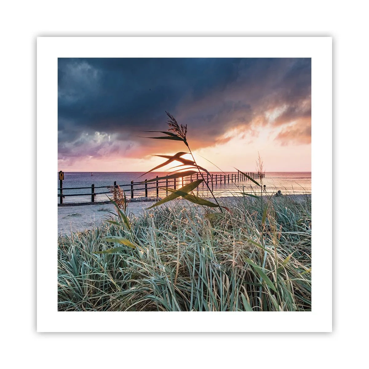 Poszter - Nem múlik el a széllel - 50x50 cm