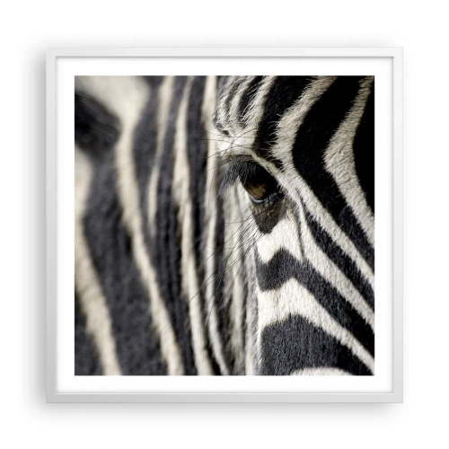 Poszter fekete keretben - Csíkos portré - 60x60 cm
