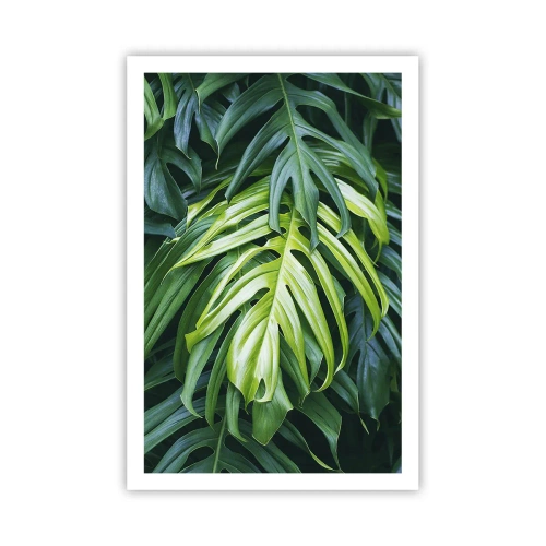 Poszter - Merüljön el a frissességben - 61x91 cm