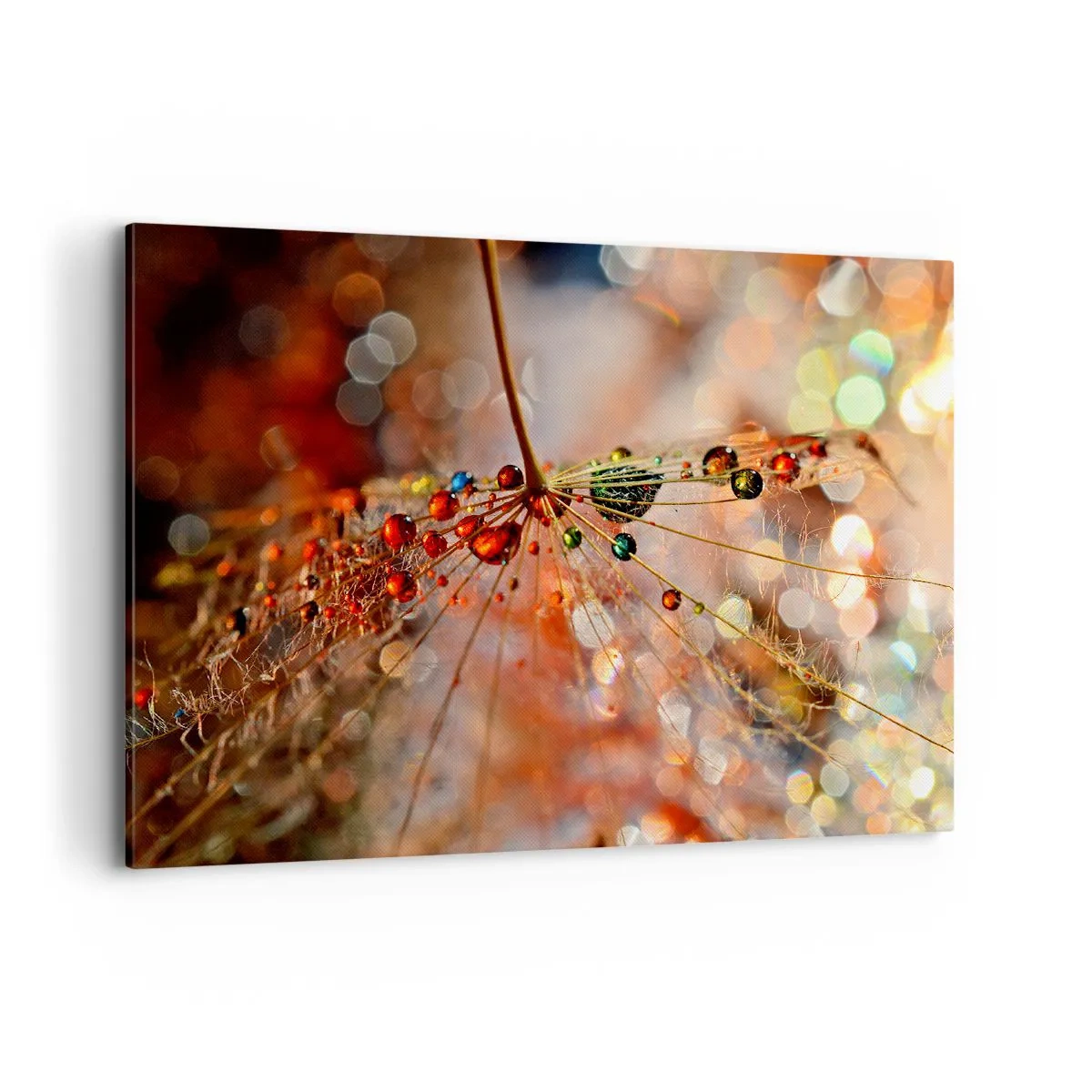 Vászonkép - Pókszálra fűzve - 100x70 cm