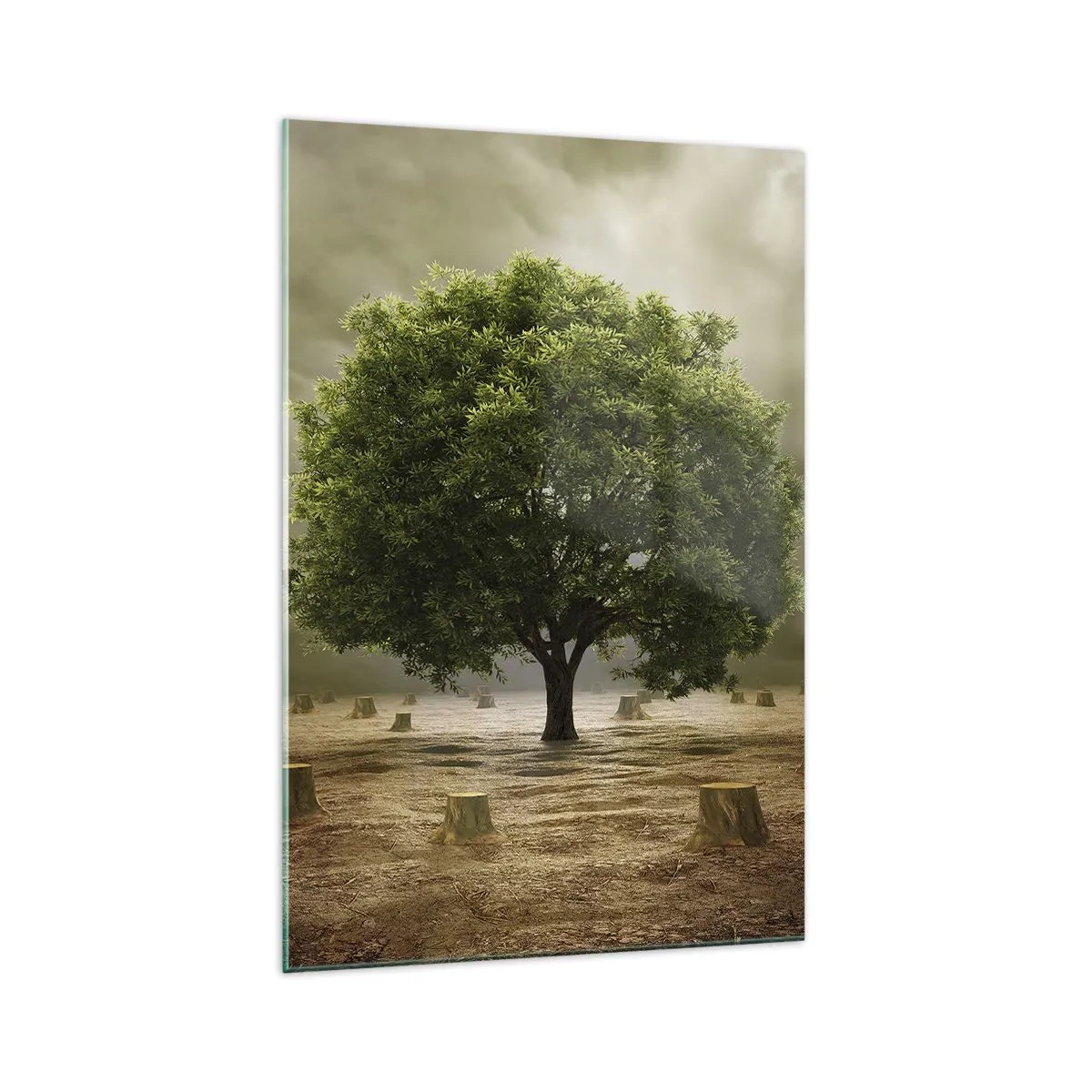 Üveg kép - Egész remény - 70x100 cm