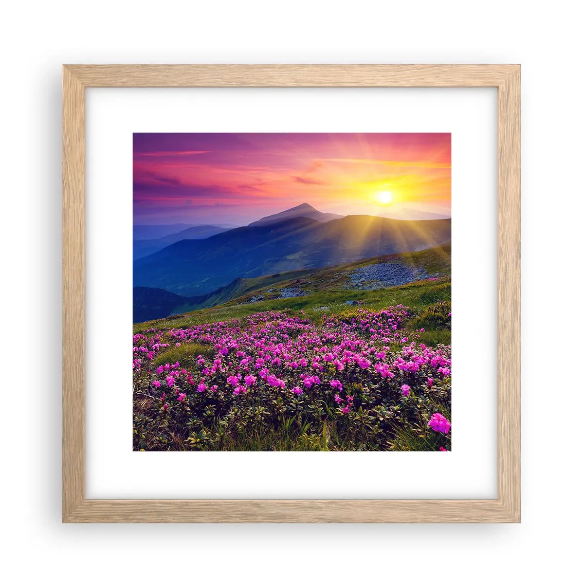 Poszter világos tölgy keretben - … És körülötte hegyi fenyő és gyógynövények illata - 30x30 cm