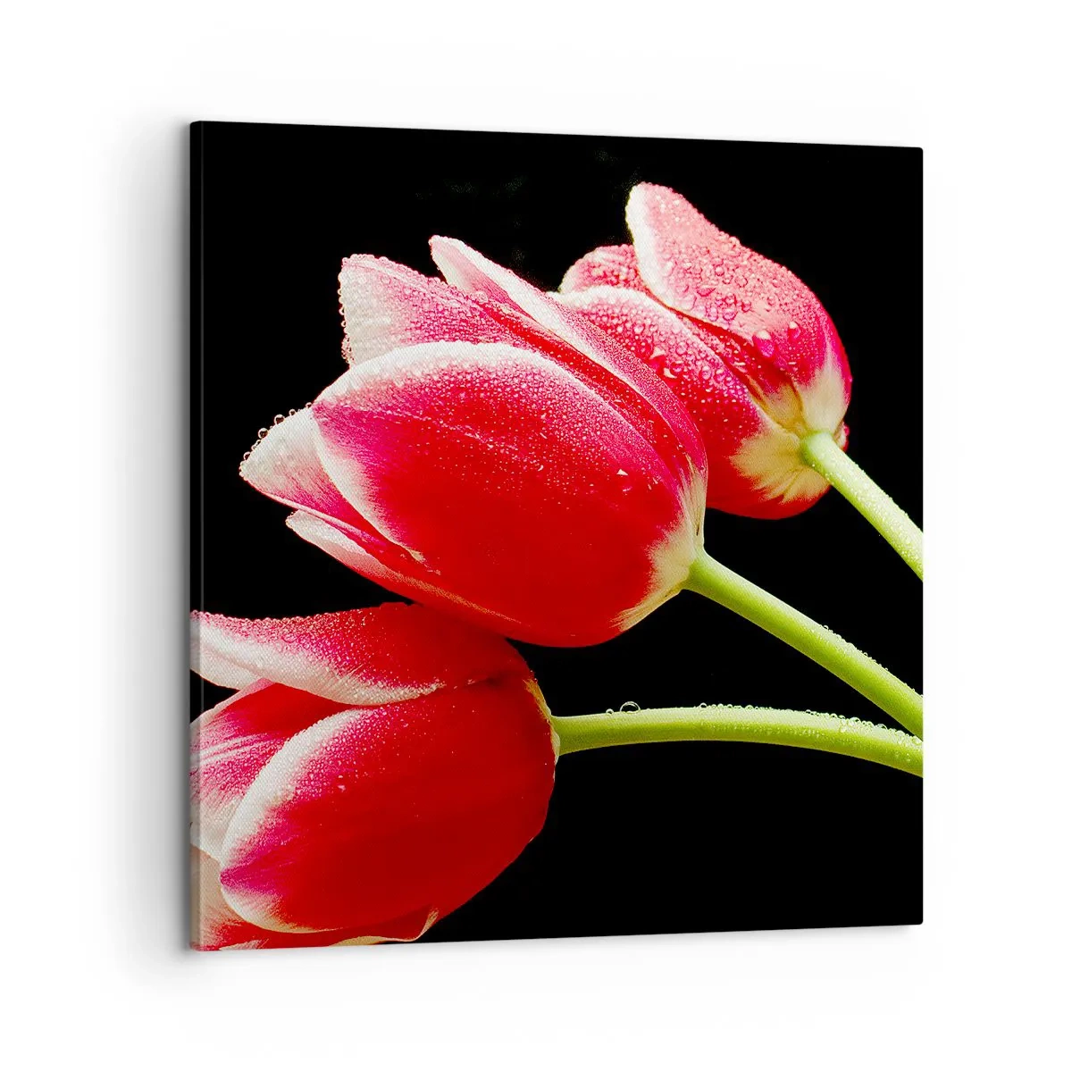 Vászonkép - A tiszta szerelem ígérete - 60x60 cm