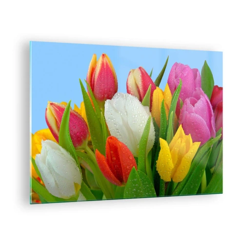 Üveg kép - Színes tulipánok, harmatcseppekkel borítva kék háttér előtt - 70x50cm - Virágos szivárvány harmatcseppekben - Modern fali dekoráció nappalihoz és hálószobához ARTTOR
