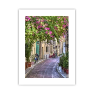 Poszter - Virágzó sikátor - 30x40 cm