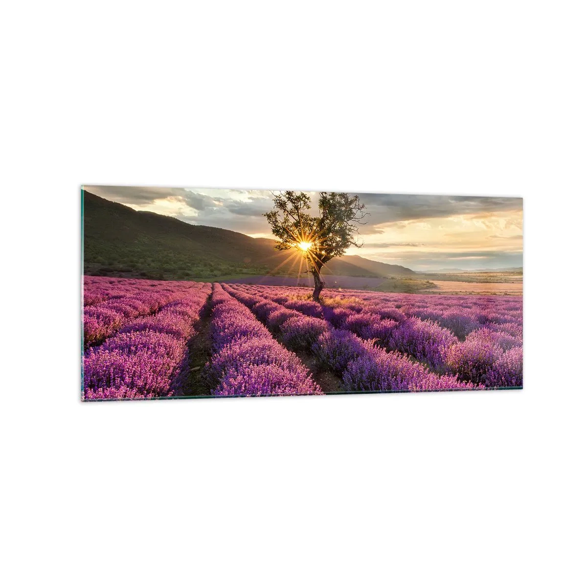 Üveg kép - Lila színű illat - 120x50 cm