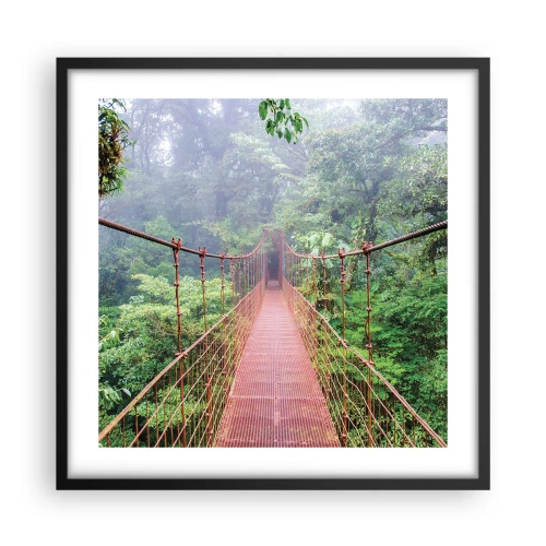 Poszter fehér keretben - A lomkoronák fölé függesztve - 50x50 cm