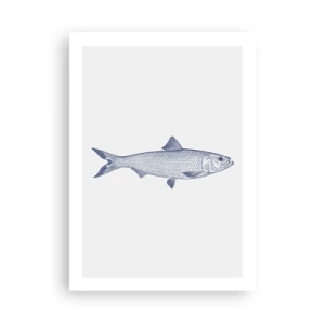 Poszter - Üdvözlet az északi tengerektől - 50x70 cm