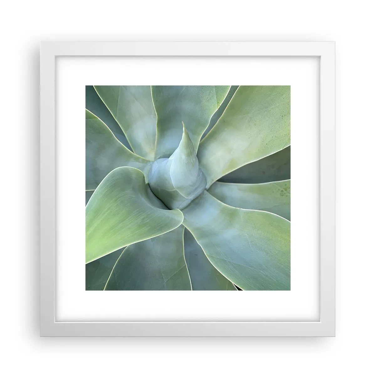 Poszter fekete keretben - A zöld születése - 30x30 cm