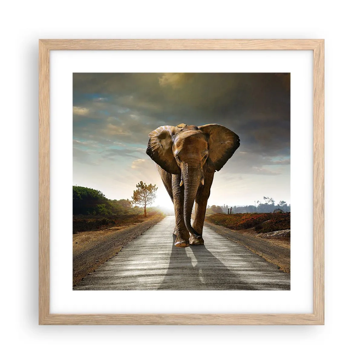 Poszter világos tölgy keretben - És egyáltalán nem porcelánraktárban - 40x40 cm