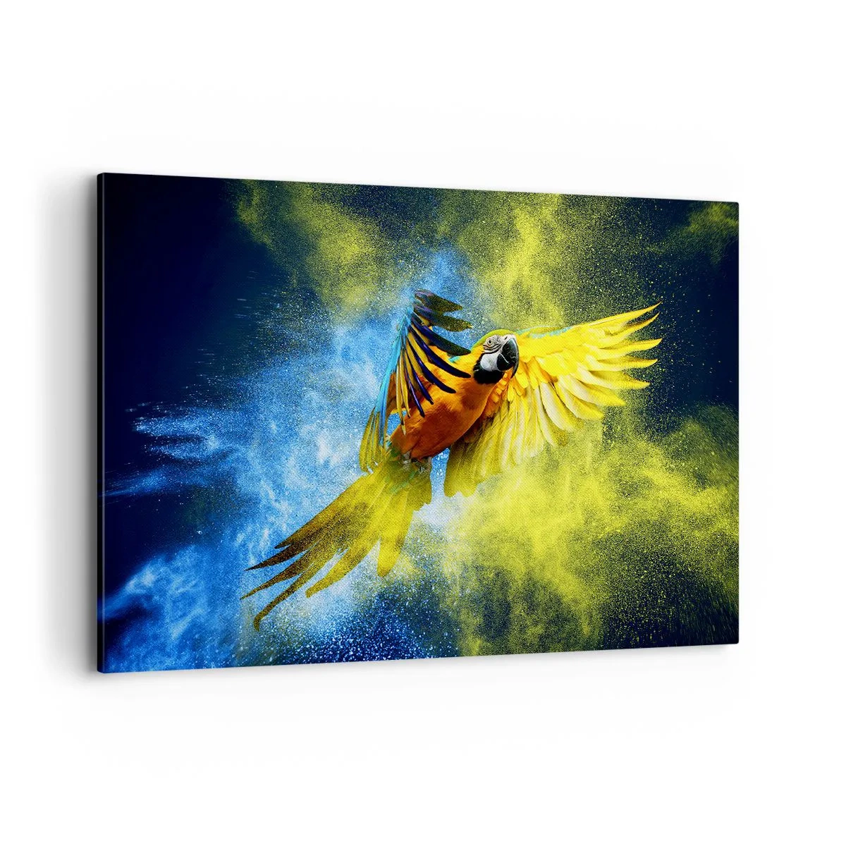 Vászonkép - A kék és arany porban - 120x80 cm