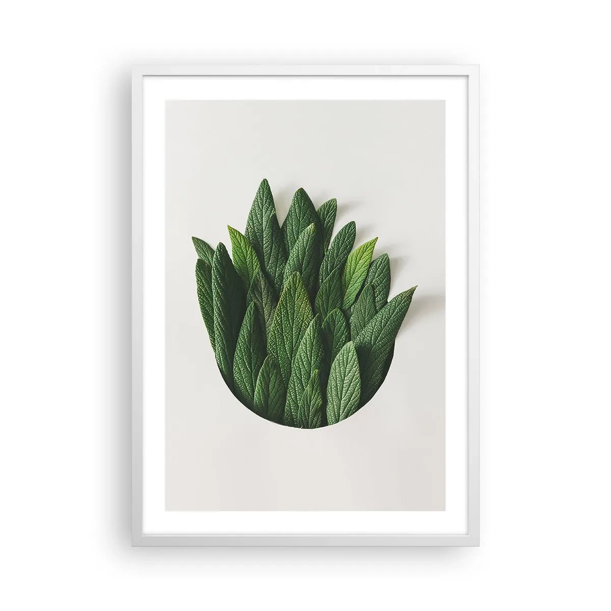 Poszter fekete keretben - Féktelen kíváncsiság - 50x70 cm