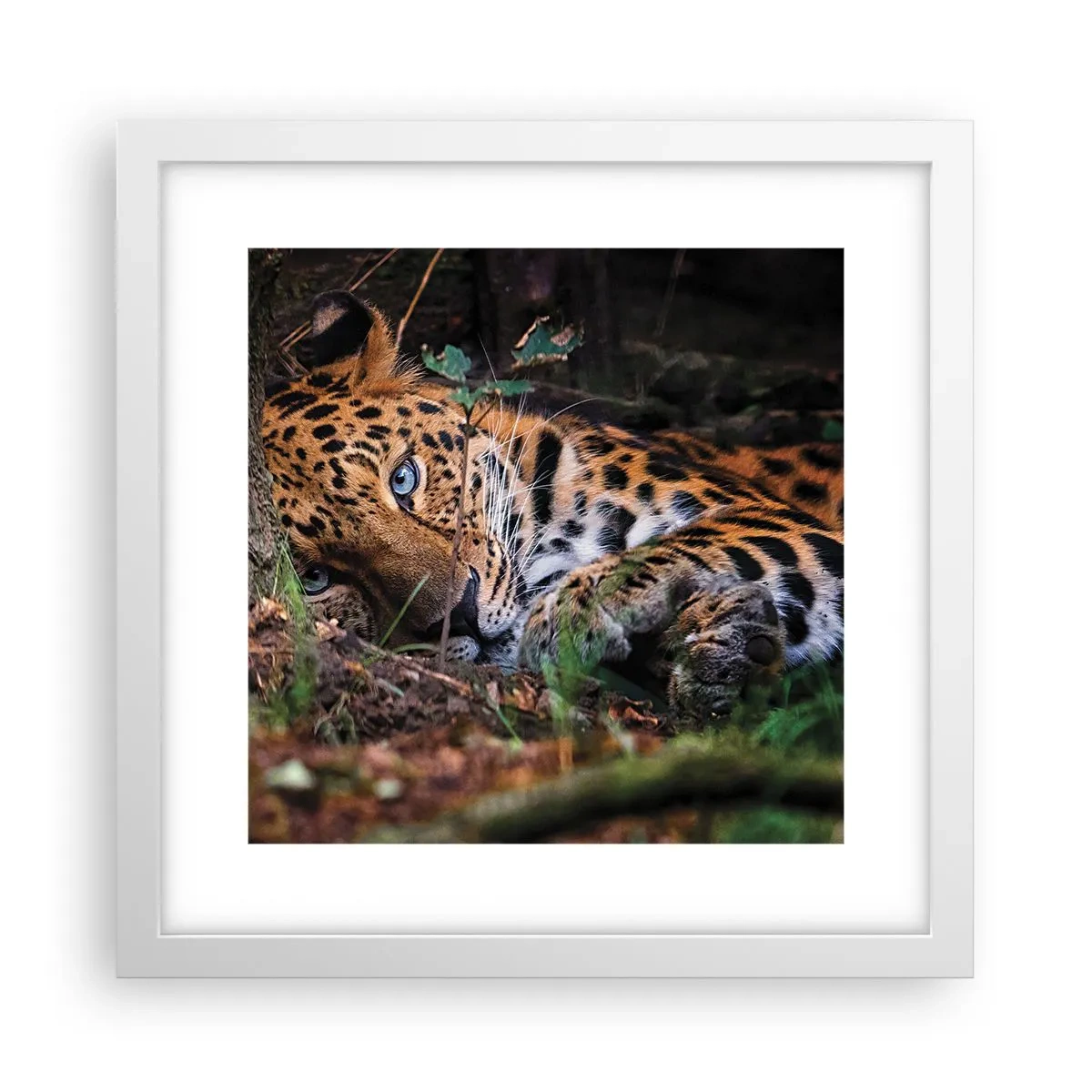 Poszter fekete keretben - Bízz bennem - 30x30 cm