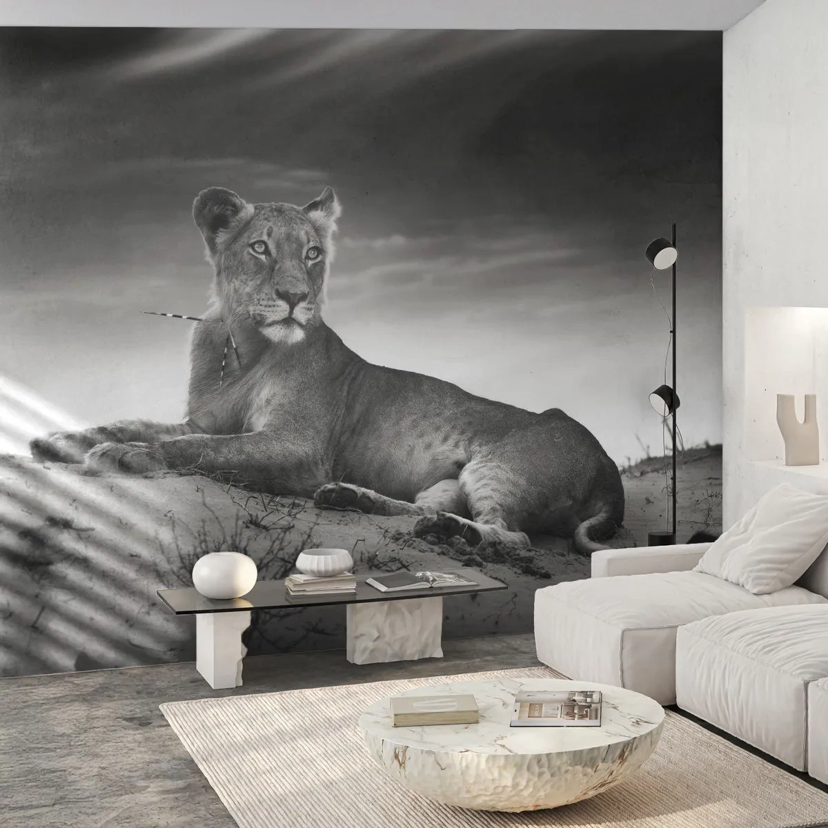 Fotótapéta Standard Eco - A sivatagi királynő pihenése - Állatok, Oroszlán, Sivatag - 200x140 cm