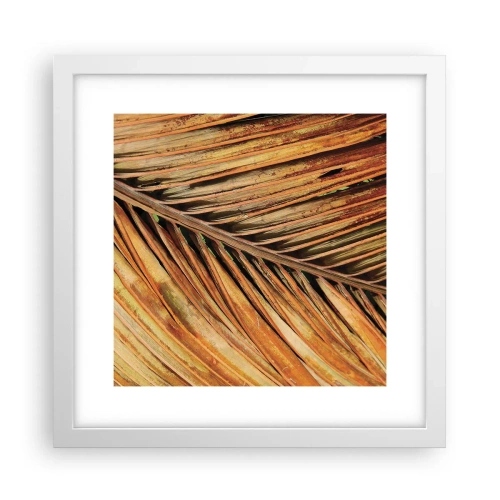 Poszter fekete keretben - Kókusz aranya - 30x30 cm