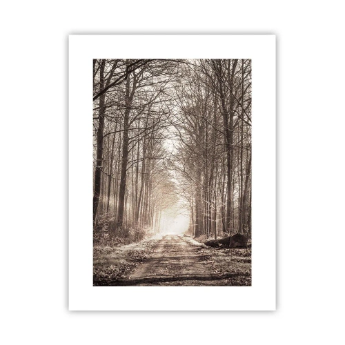 Poszter - Erdei katedrális - 30x40 cm