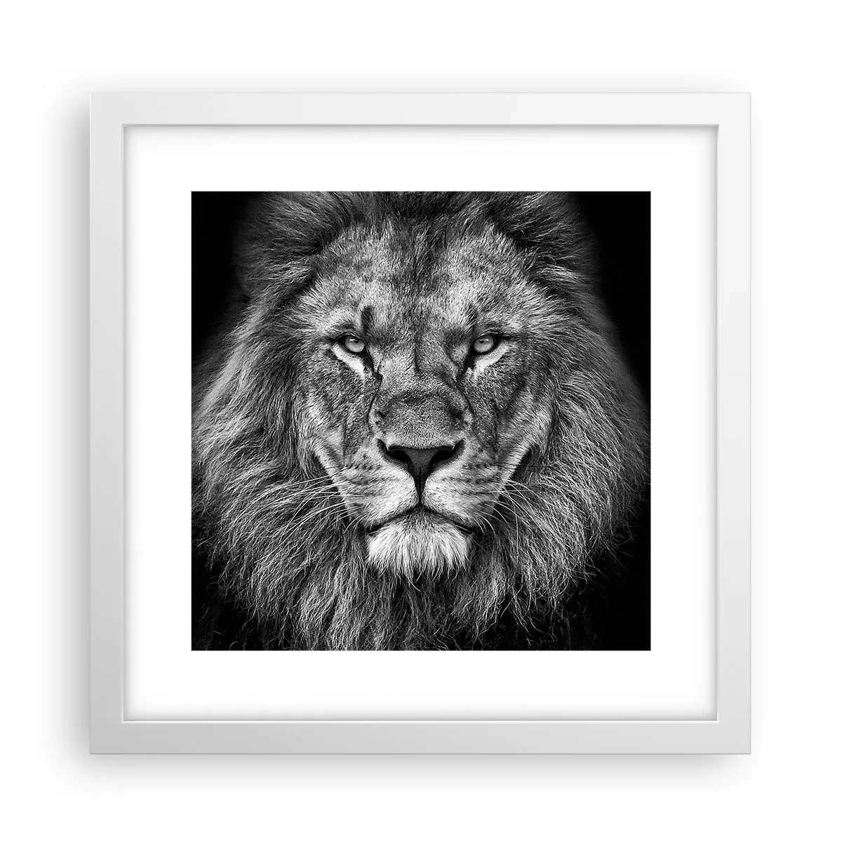 Poszter fekete keretben - Őfelségi palástban - 30x30 cm