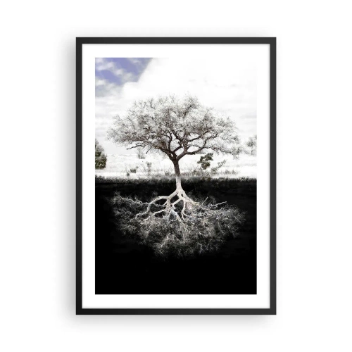 Poszter fehér keretben - Egy minimalista fa látható gyökérzettel - 50x70cm - A világ természetének felfedezése - Modern fali dekoráció nappalihoz és hálószobához ARTTOR