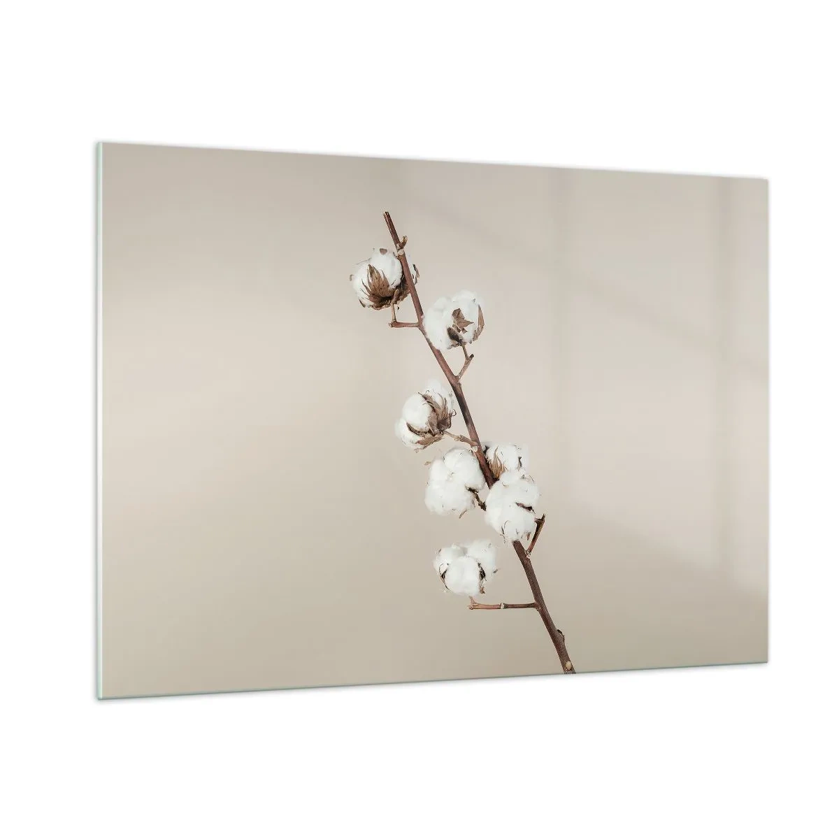 Üveg kép - A puhaság forrásánál - 100x70 cm