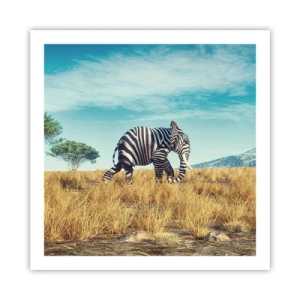 Poszter - A szürke már nem menő - 60x60 cm