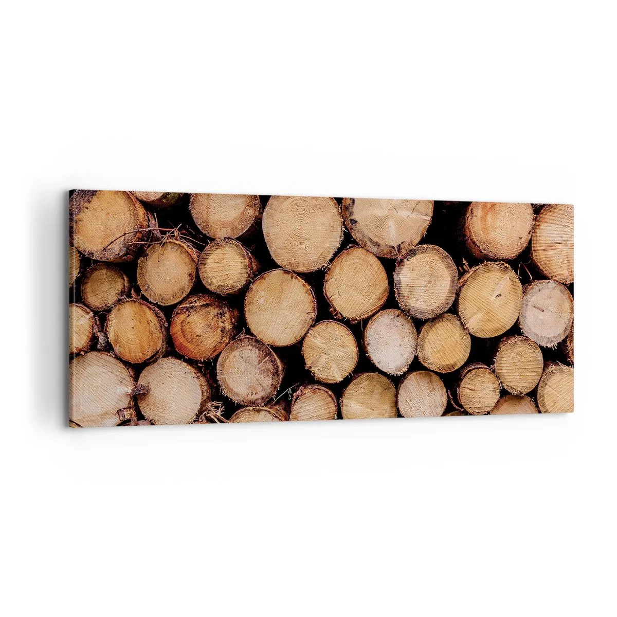 Vászonkép - Egy új kezdet - 100x40 cm