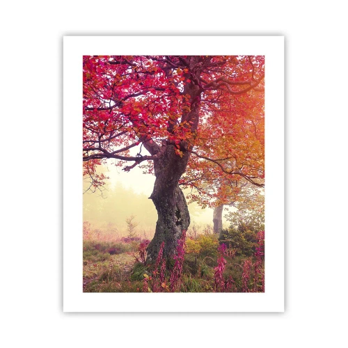 Poszter - Virágzás őrülete - 40x50 cm