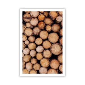 Poszter - Egy új kezdet - 61x91 cm