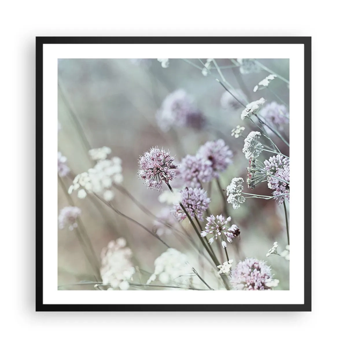 Poszter fehér keretben - Fűszerek édes filigránja - 60x60 cm