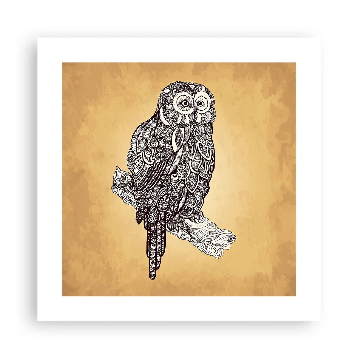 Poszter - A bölcsesség bonyolult díszei - 40x40 cm