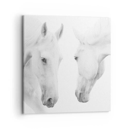 Vászonkép - Ez a barátság...? - 70x70 cm