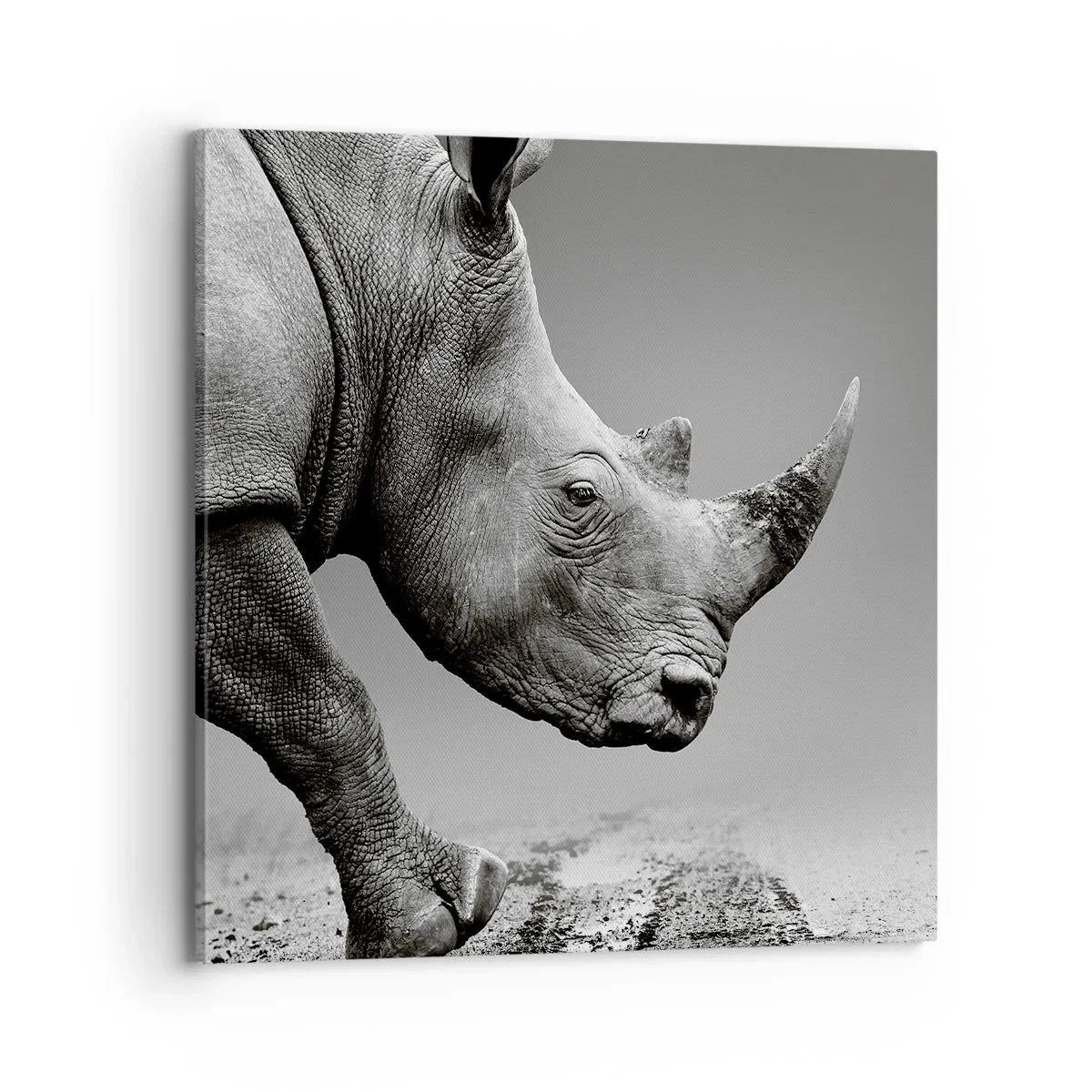 Vászonkép - Megállíthatatlan erő - 70x70 cm