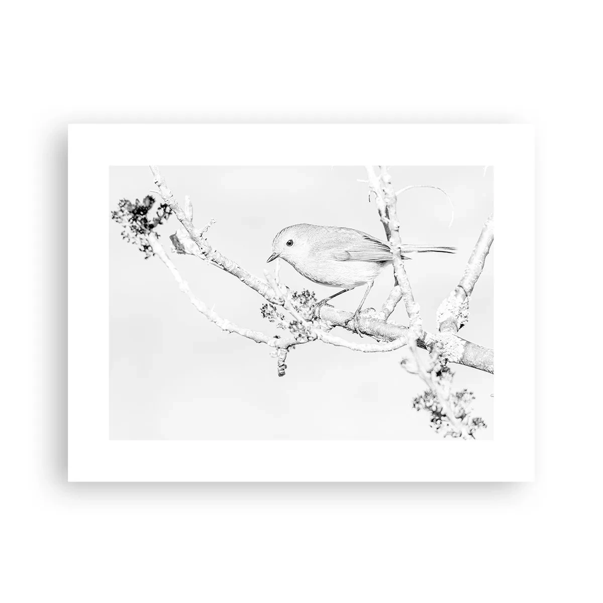 Poszter - Téli reggel - 40x30 cm