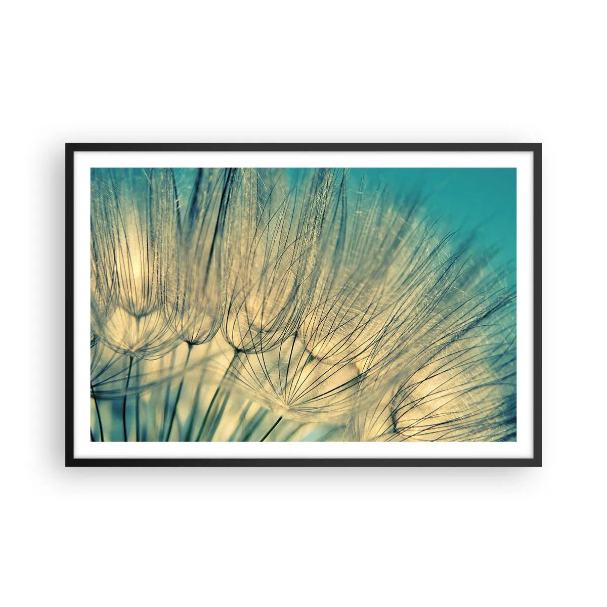 Poszter fehér keretben - A szélre várva - 91x61 cm