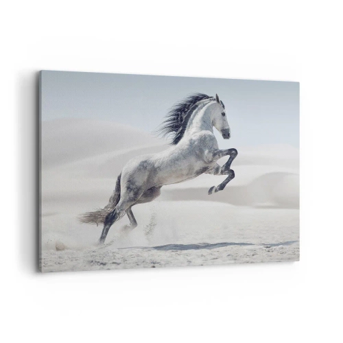 Vászonkép - arab herceg - 120x80 cm