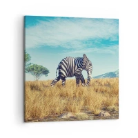 50x50 cm | Négyzetes